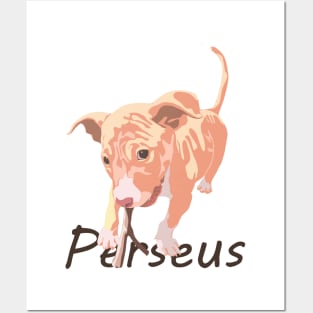 Cute Dog Perseus Posters and Art